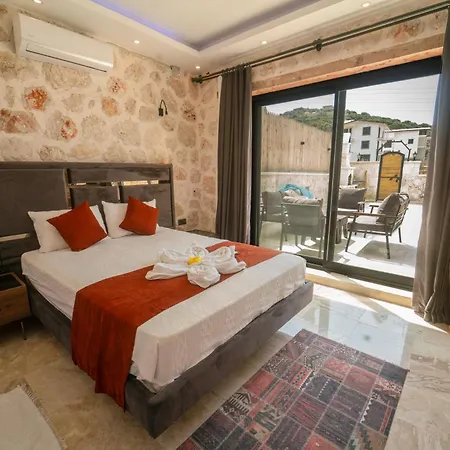 Villa Merkezde Oezel Havuzlu Tas