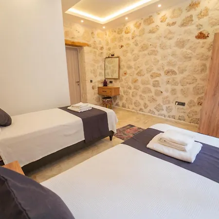 Villa Merkezde Oezel Havuzlu Tas Kas