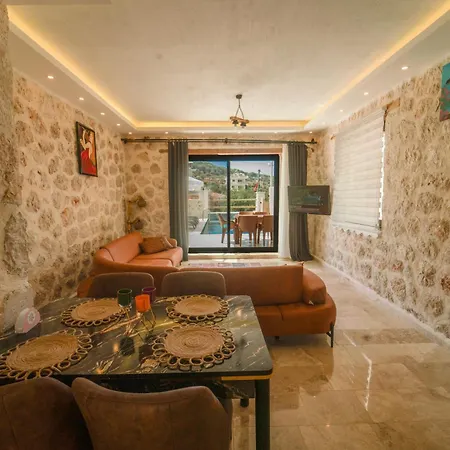 Villa Merkezde Oezel Havuzlu Tas
