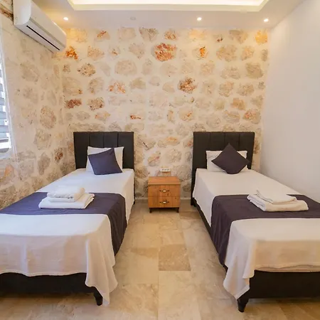 Villa Merkezde Oezel Havuzlu Tas *