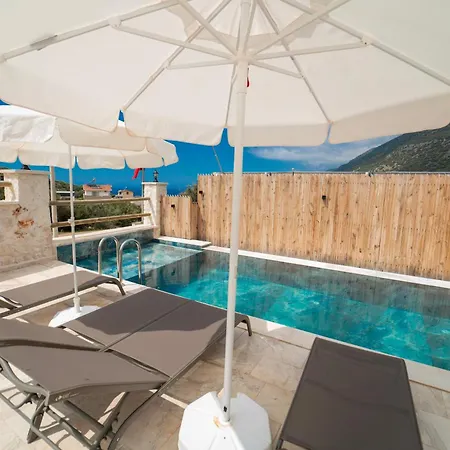 Villa Merkezde Oezel Havuzlu Tas *