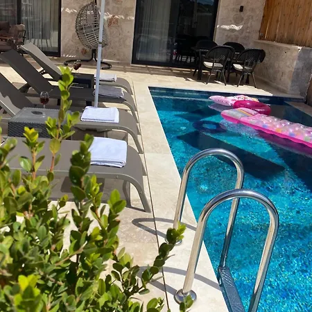 Villa Merkezde Oezel Havuzlu Tas *